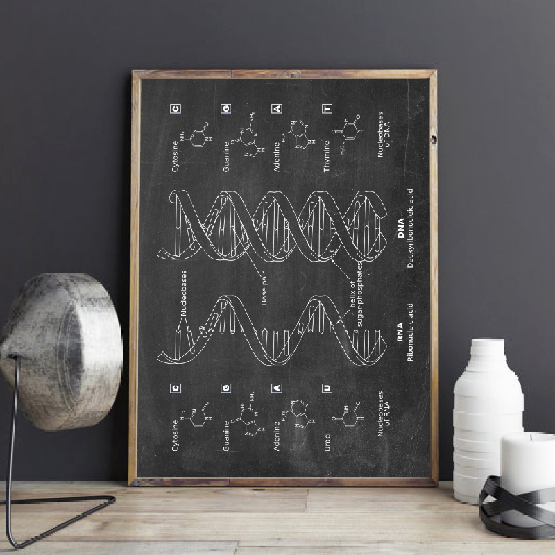 DNA Patent Wall Art Genetica P - Star Map Poster recensie en prijs