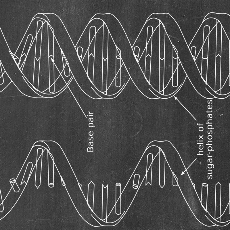 DNA Patent Wall Art Genetica P - Star Map Poster recensie en prijs