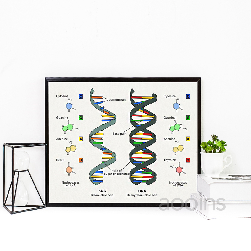 DNA Patent Wall Art Genetica P - Star Map Poster recensie en prijs